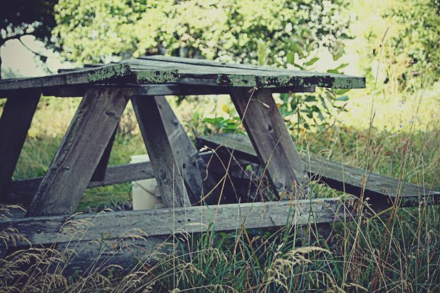 old-picnic-table